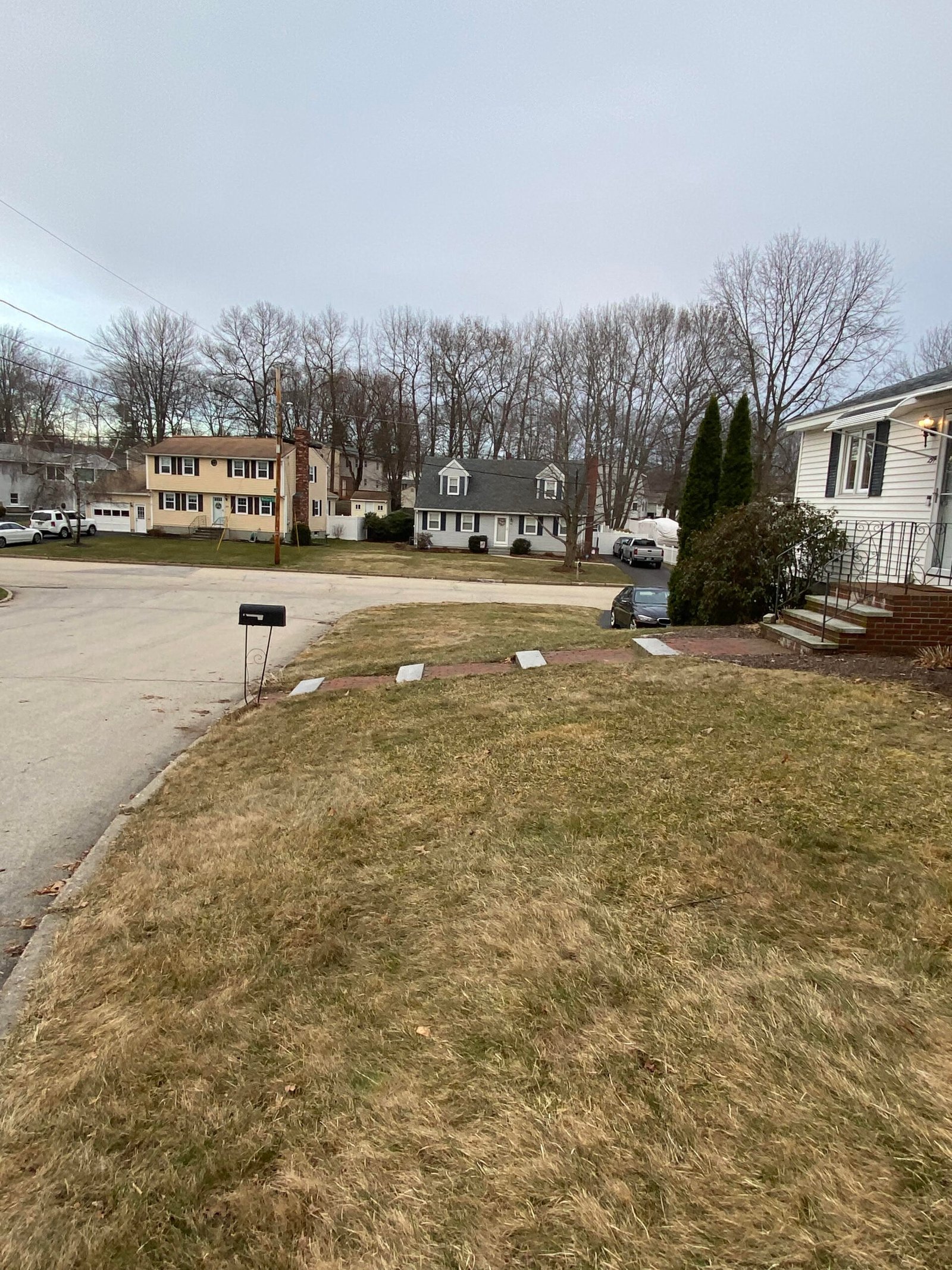 Pile of autumn leaves on a lawn with a rake, signifying seasonal cleanup