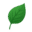 mahoneylandscapingllc.com favicon