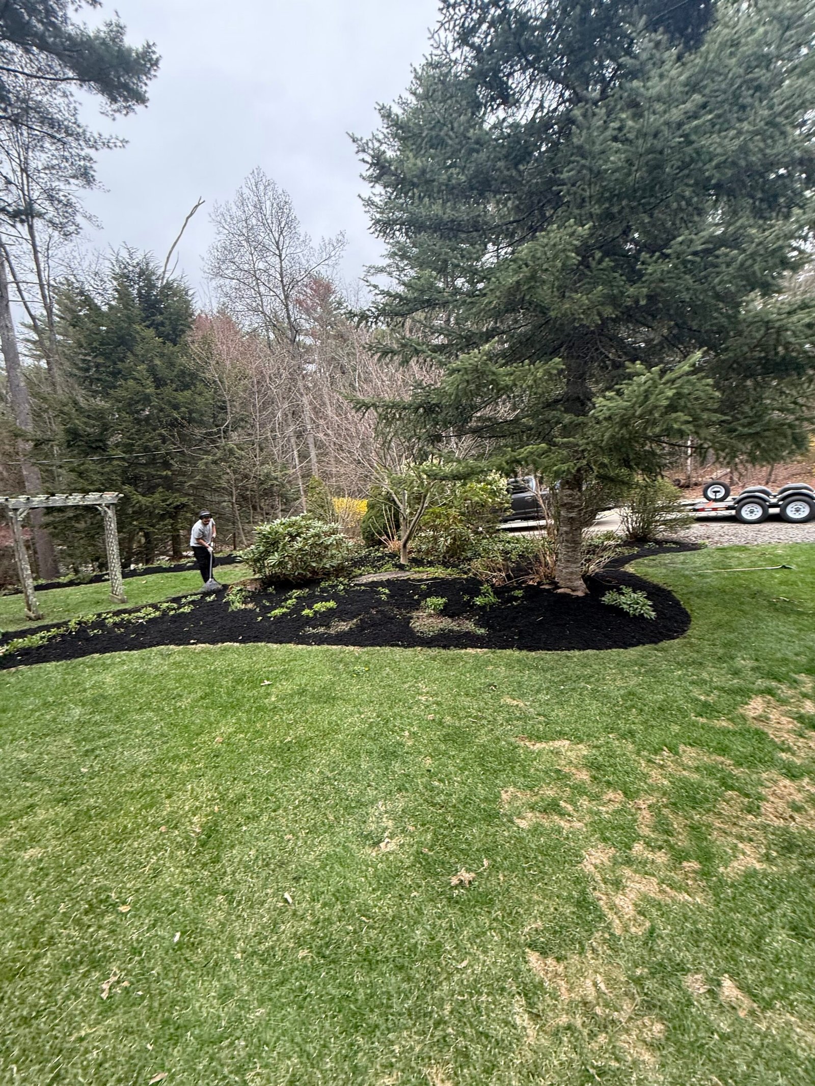 Fresh black mulch bed around ornamental trees and lawn
