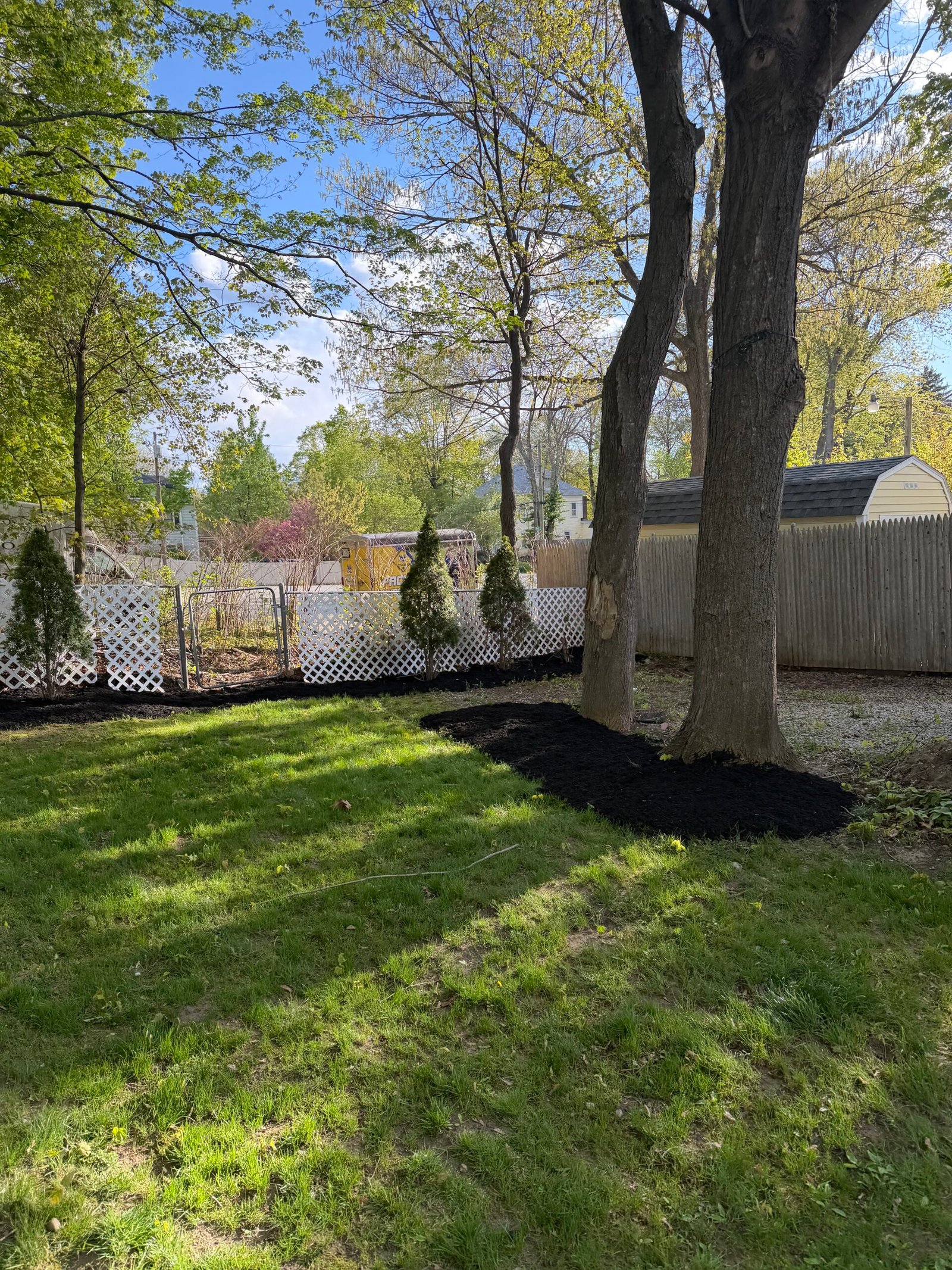 Clean black mulch bed beneath backyard shade trees